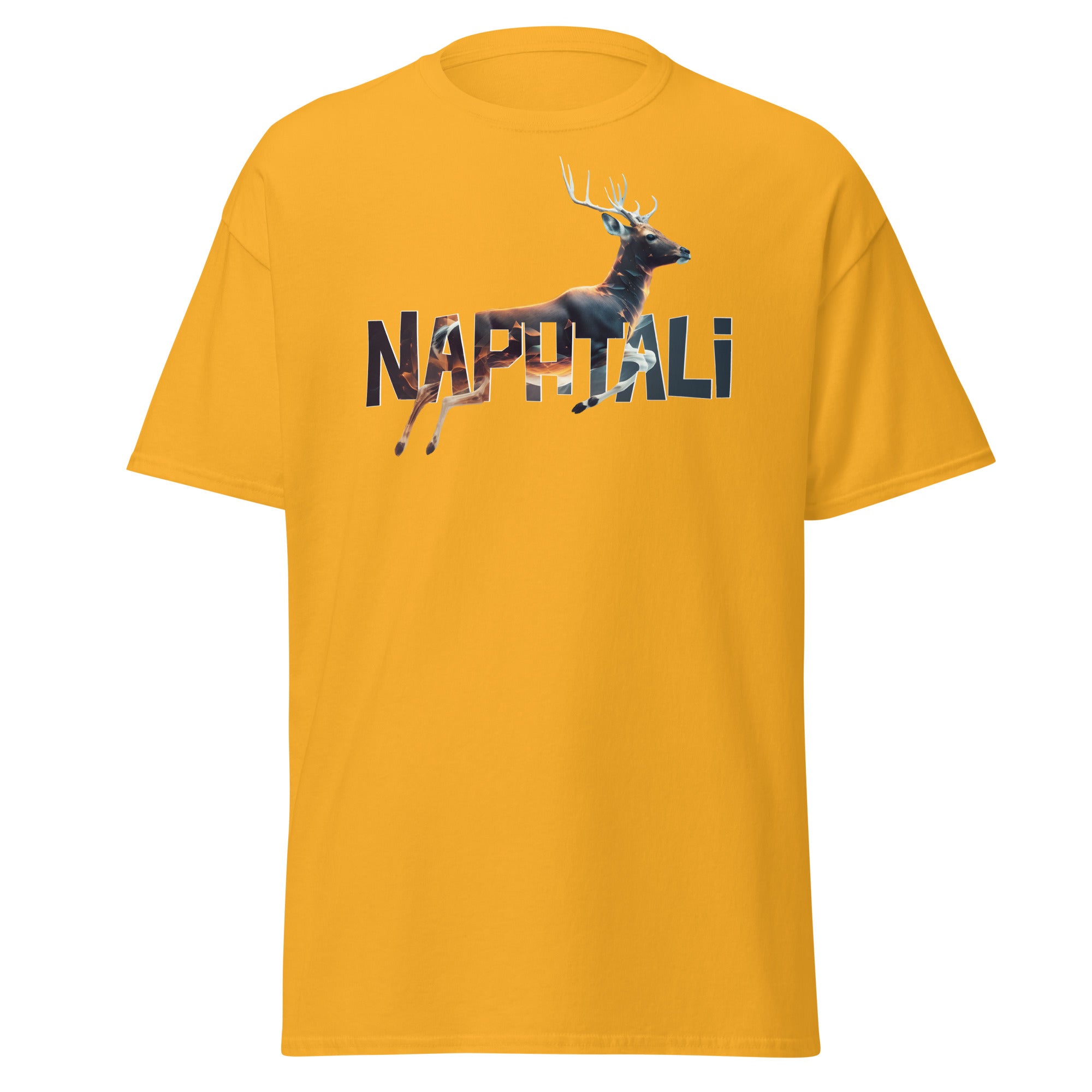 Tribe Of Naphtali Men's classic tee